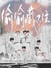 深入了解 芒果视频黄永久